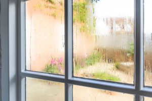 condensation on windows in pensacola